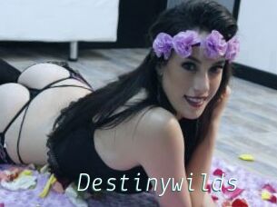 Destinywilds