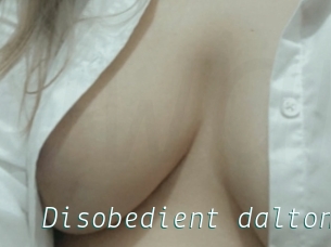 Disobedient_dalton