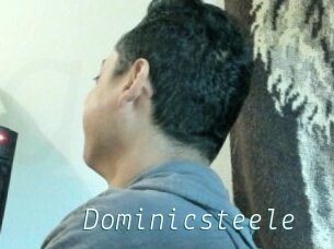 Dominicsteele