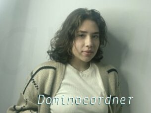 Dominocordner