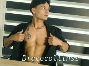 Dracocollinss