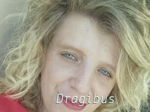 Dragibus