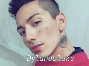 Dylandblake