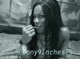 Ebony9InchesTS