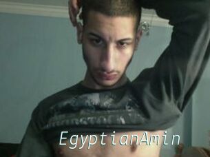 EgyptianAmin