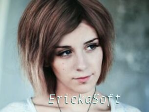 ErickaSoft