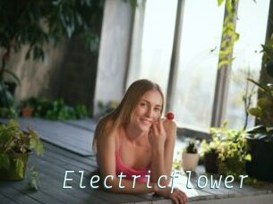 Electricflower