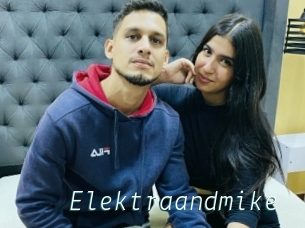 Elektraandmike