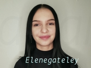 Elenegateley
