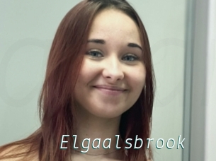 Elgaalsbrook