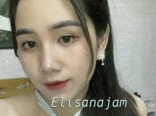 Elisanajam