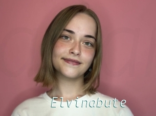 Elvinabute