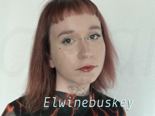 Elwinebuskey