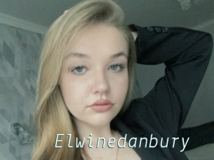 Elwinedanbury