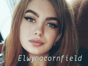 Elwynacornfield
