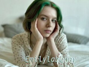 Emilylabunny