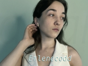 Erlenecodd