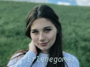 Erlenegomer