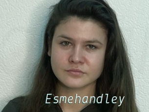 Esmehandley