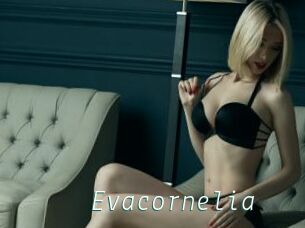 Evacornelia