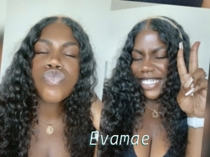 Evamae