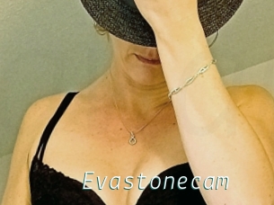 Evastonecam