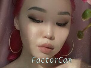 FactorCam