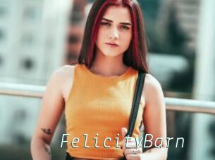 FelicityBarn