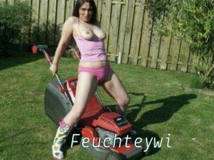 Feuchteywi