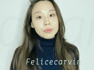 Felicecarvin