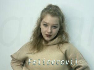 Felicecovil