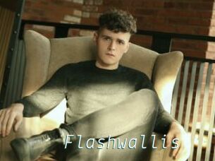 Flashwallis