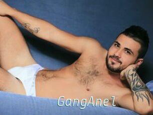 GangAnel