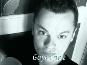 Gayminet
