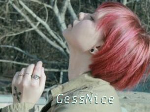 GessNice