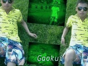 Gaokui