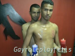 Gayroleplayfetis