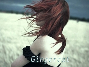 Gingercat