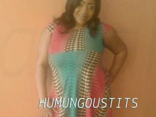 HUMUNGOUSTITS