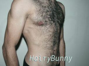 HairyBunny