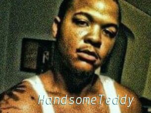 HandsomeTeddy