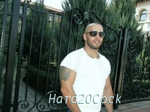 Hard20Cock