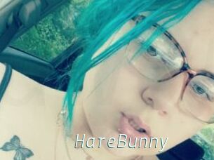 HareBunny