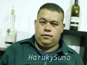 Haruky_Sumo