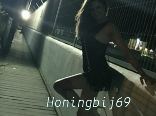Honingbij69
