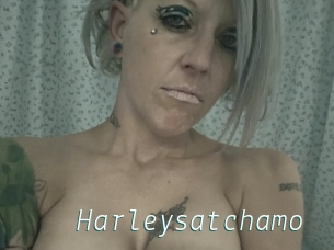 Harleysatchamo