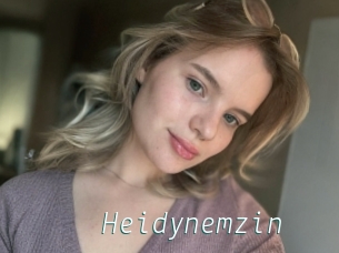 Heidynemzin