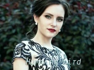 Humming_bird