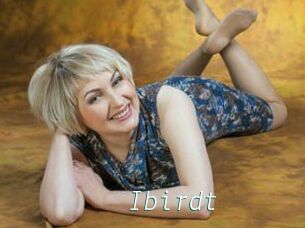 Ibirdt