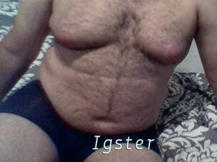 Igster